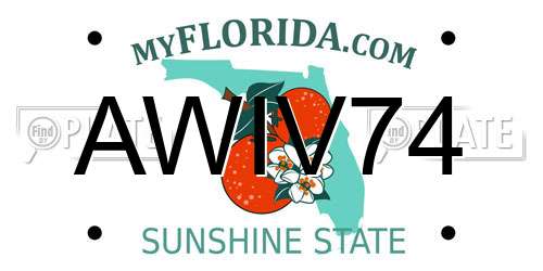 AWIV74 Florida License Plate