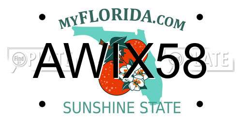 AWIX58 Florida License Plate