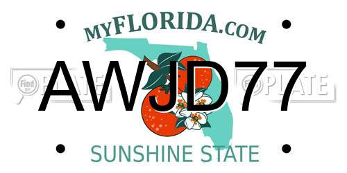 AWJD77 Florida License Plate