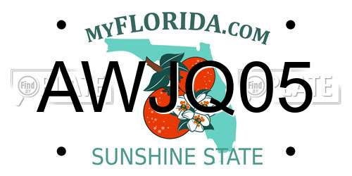 AWJQ05 Florida License Plate
