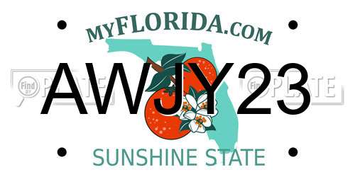 AWJY23 Florida License Plate