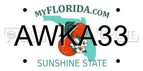 AWKA33 Florida License Plate