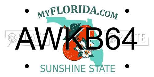 AWKB64 Florida License Plate