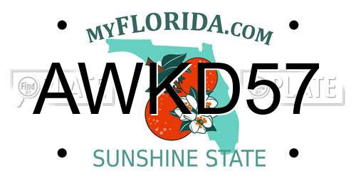 AWKD57 Florida License Plate