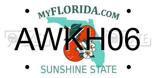 AWKH06 Florida License Plate