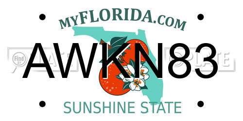 AWKN83 Florida License Plate