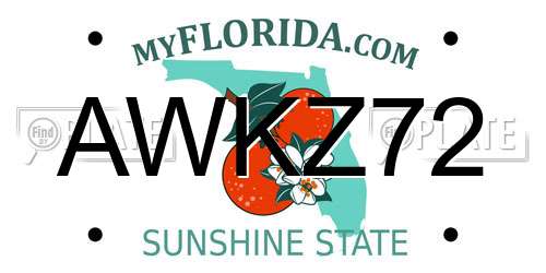 AWKZ72 Florida License Plate