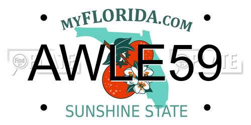 AWLE59 Florida License Plate