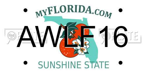 AWLF16 Florida License Plate