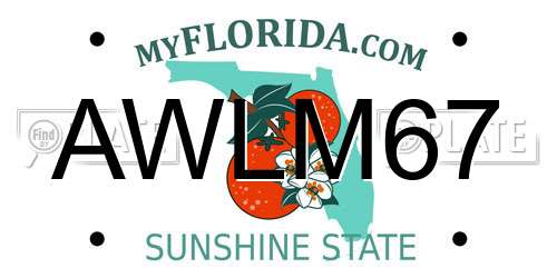 AWLM67 Florida License Plate