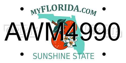 AWM4990 Florida License Plate