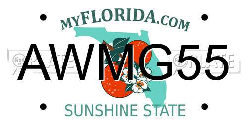 AWMG55 Florida License Plate