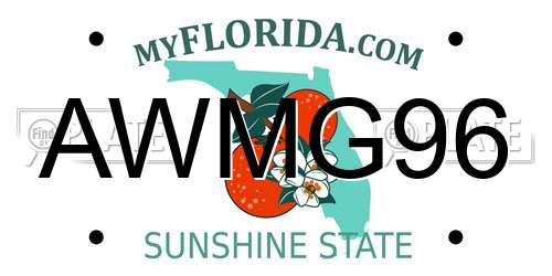 AWMG96 Florida License Plate