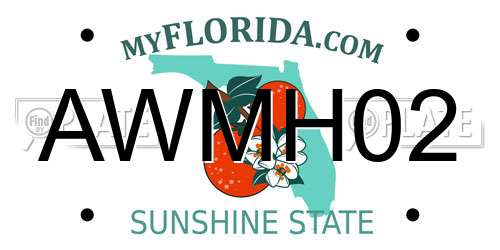 AWMH02 Florida License Plate