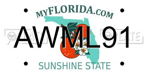 AWML91 Florida License Plate