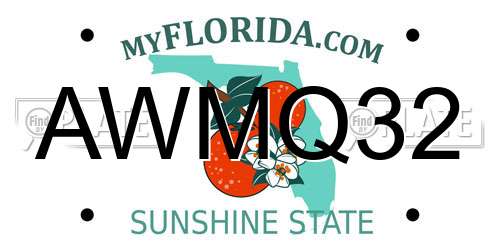 AWMQ32 Florida License Plate