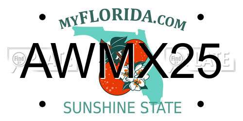 AWMX25 Florida License Plate