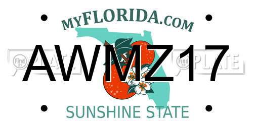 AWMZ17 Florida License Plate