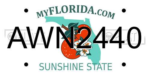 AWN2440 Florida License Plate