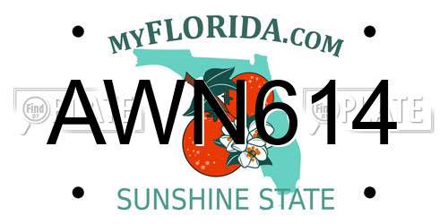 AWN614 Florida License Plate