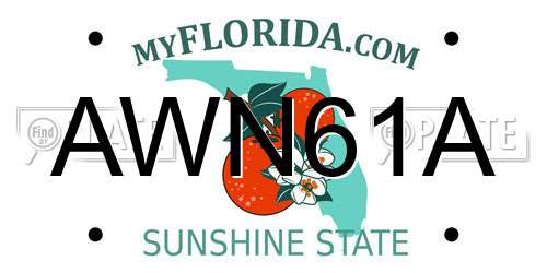 AWN61A Florida License Plate