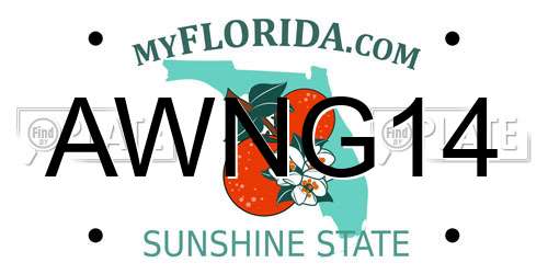 AWNG14 Florida License Plate