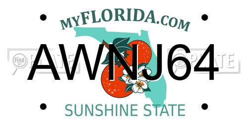 AWNJ64 Florida License Plate