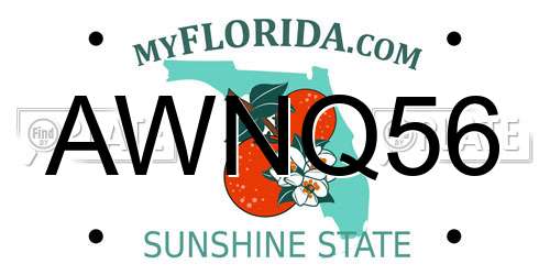AWNQ56 Florida License Plate