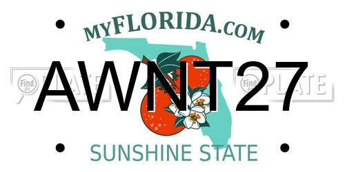 AWNT27 Florida License Plate
