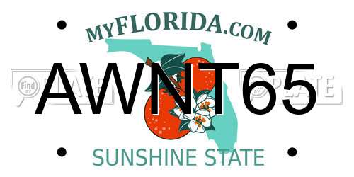 AWNT65 Florida License Plate