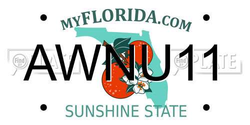 AWNU11 Florida License Plate