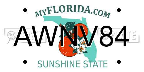 AWNV84 Florida License Plate