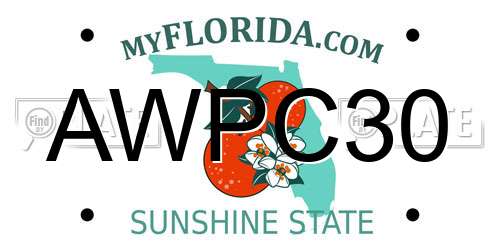 AWPC30 Florida License Plate