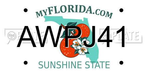 AWPJ41 Florida License Plate