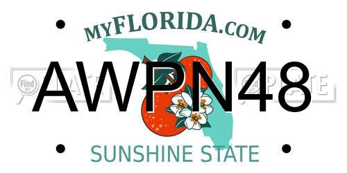 AWPN48 Florida License Plate