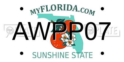 AWPP07 Florida License Plate