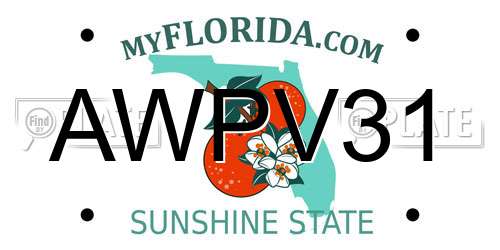 AWPV31 Florida License Plate