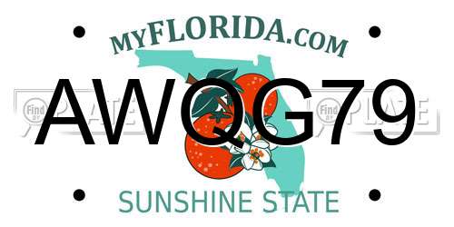 AWQG79 Florida License Plate