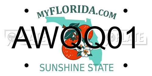 AWQQ01 Florida License Plate