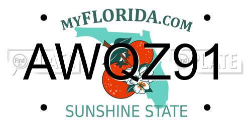 AWQZ91 Florida License Plate