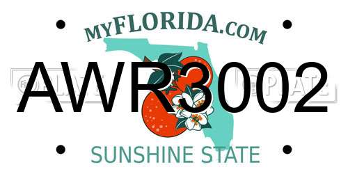 AWR3002 Florida License Plate