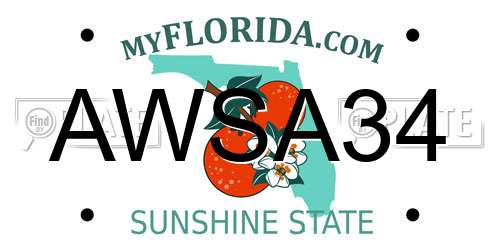AWSA34 Florida License Plate
