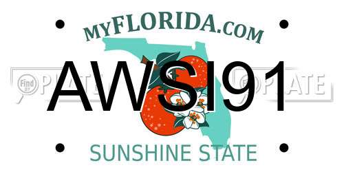 AWSI91 Florida License Plate