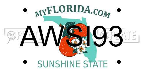AWSI93 Florida License Plate