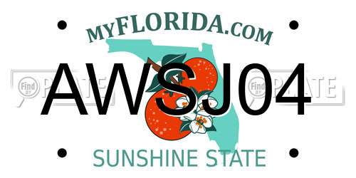 AWSJ04 Florida License Plate