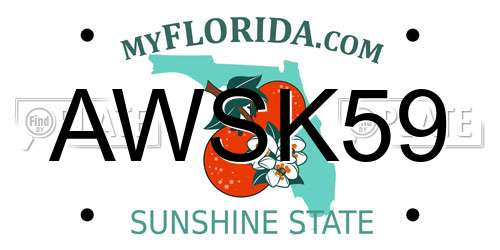 AWSK59 Florida License Plate
