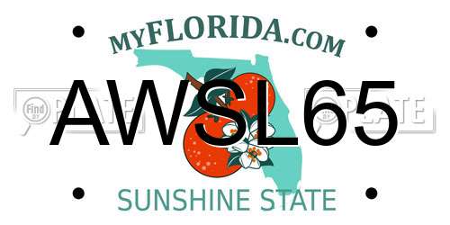 AWSL65 Florida License Plate
