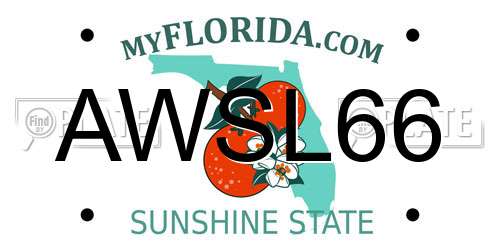 AWSL66 Florida License Plate