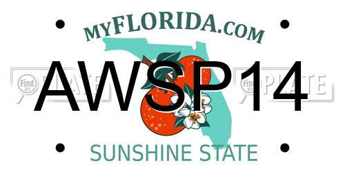 AWSP14 Florida License Plate