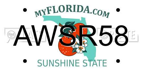 AWSR58 Florida License Plate